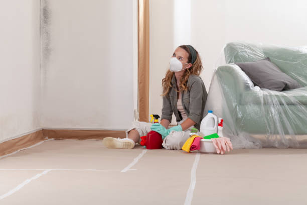 Reliable Mold Remediation contractor in Garwood, NJ by Cheap Mold Removal